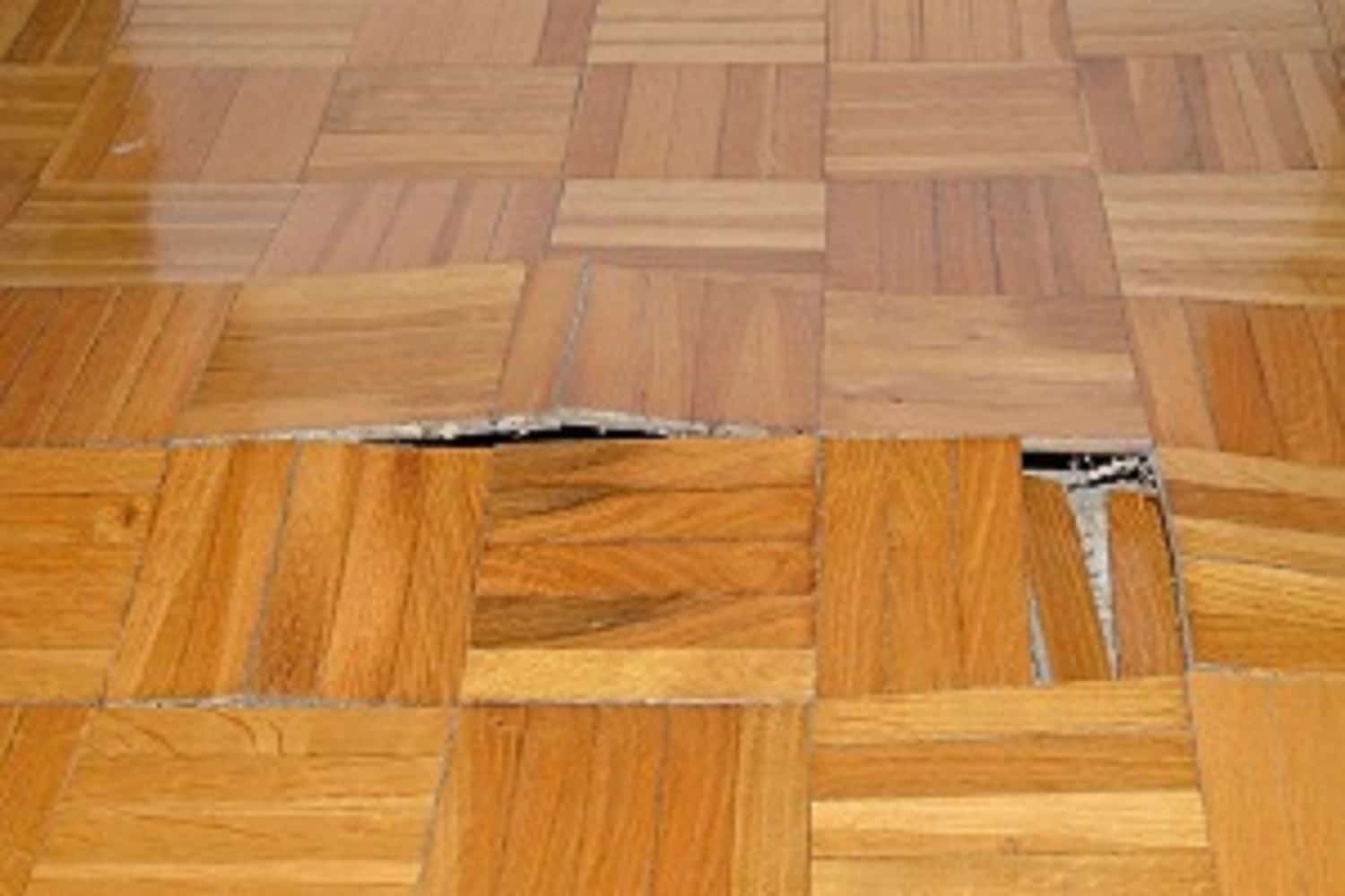 Tile & Grout Cleaning Service